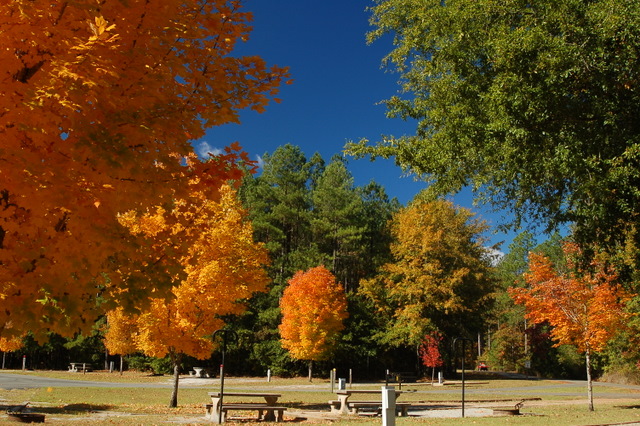 fall at high falls sp